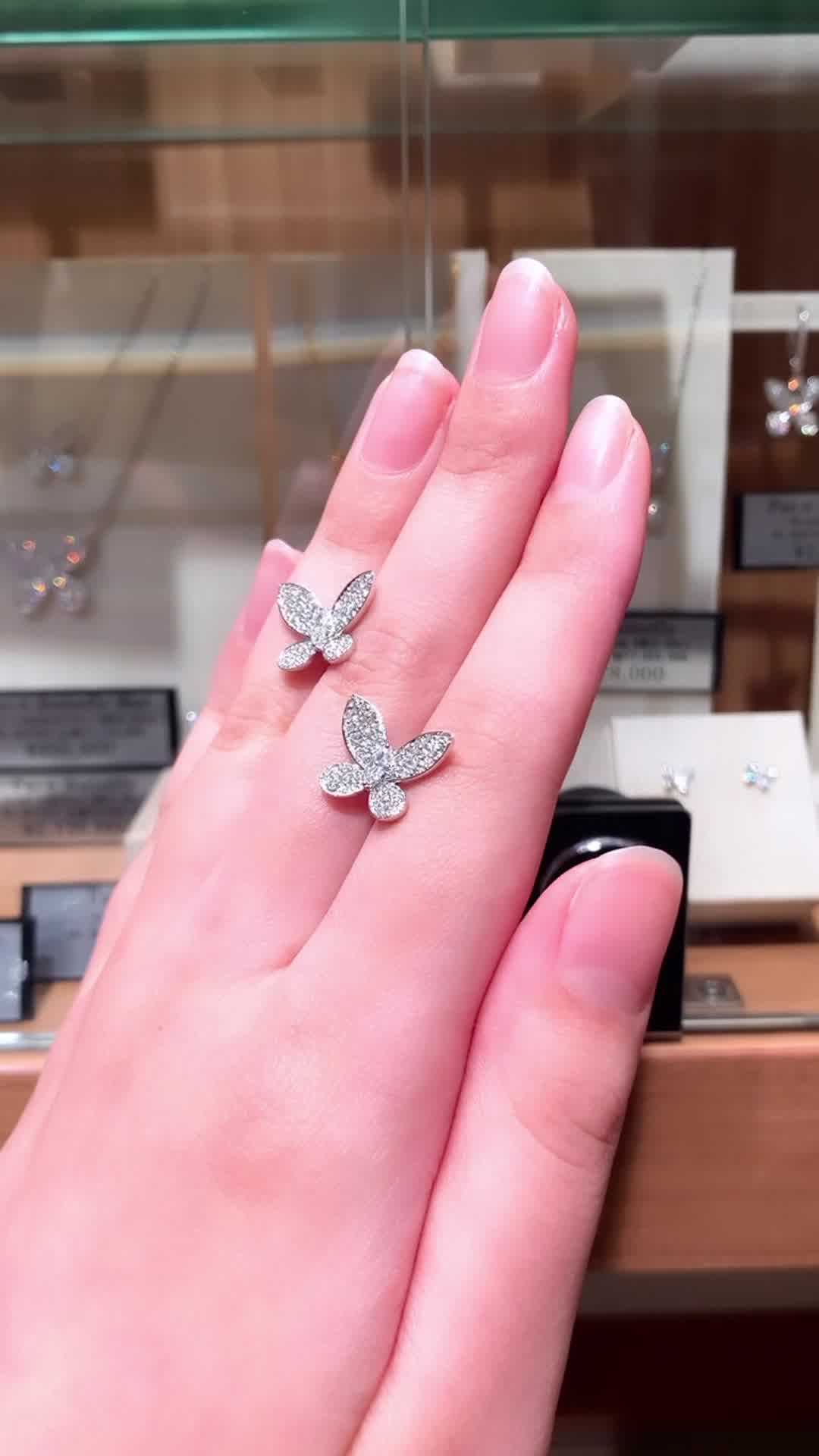 🆕バタフライスモール再入荷です🆕